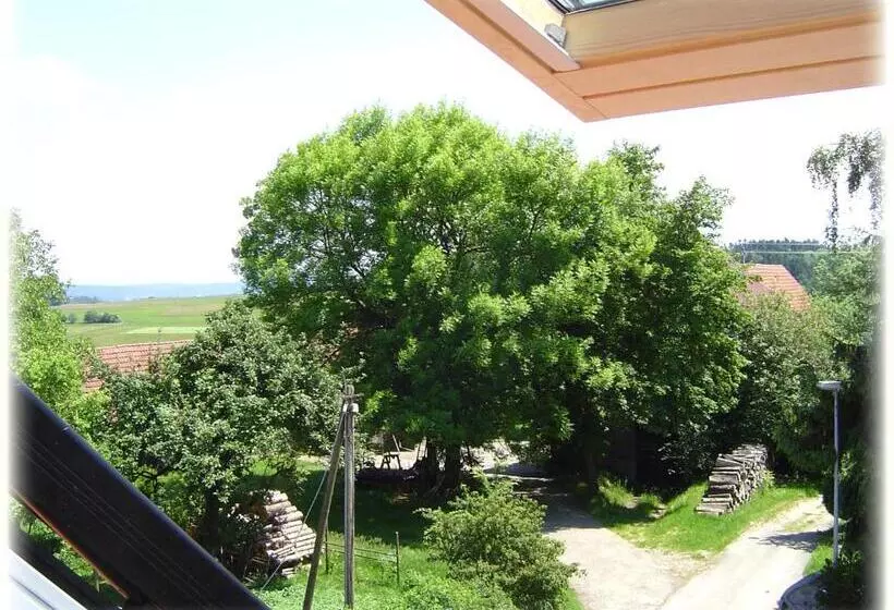 Gasthof Hotel Traube