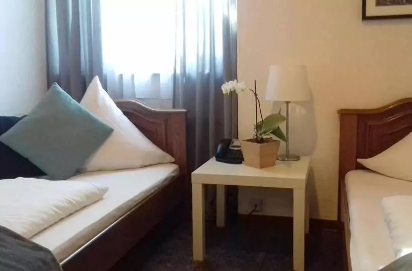 فندق Badischer Hof