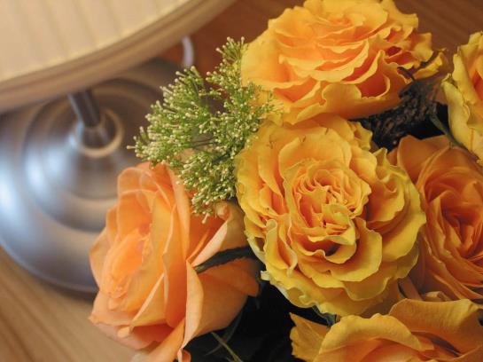 Pensão Gasthof Blume