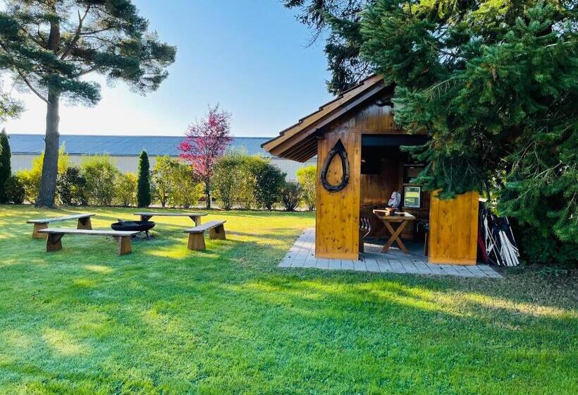 בית מלון כפרי Zum Fliegerwirt