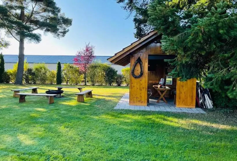 호텔 Zum Fliegerwirt