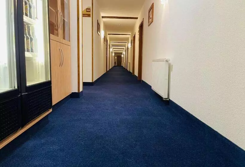 호텔 Zum Fliegerwirt