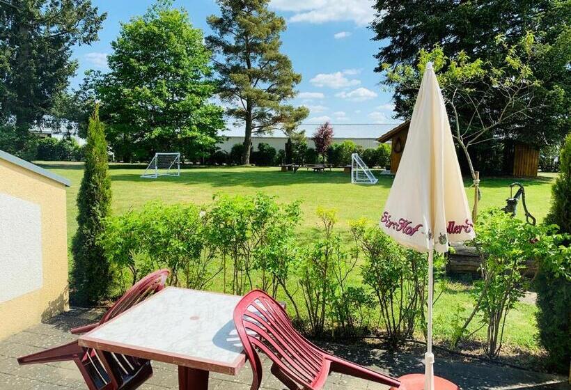 בית מלון כפרי Zum Fliegerwirt