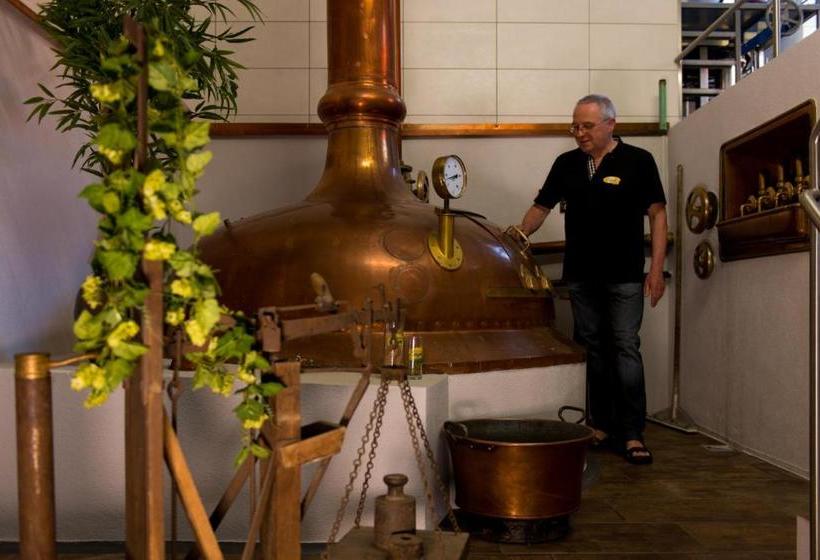 Пансион Brauerei Und Gasthof Zum Engel