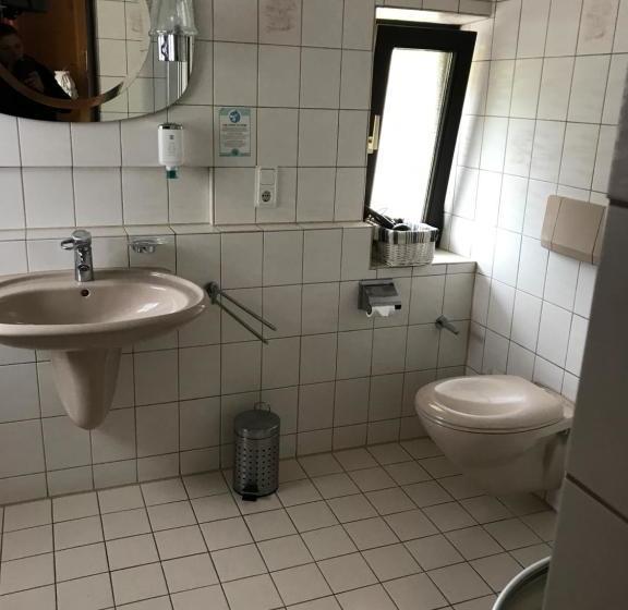 بنسيون Krone Britzingen