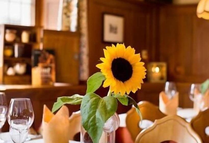 Пансион Landgasthof Ochsen