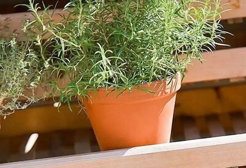 펜션 Landgasthof Ochsen