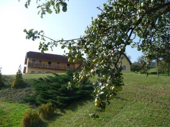 Bauernhof Mostheuriger