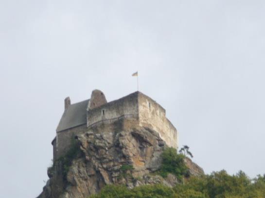 Bauernhof Mostheuriger