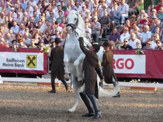 Bauernhof Mostheuriger