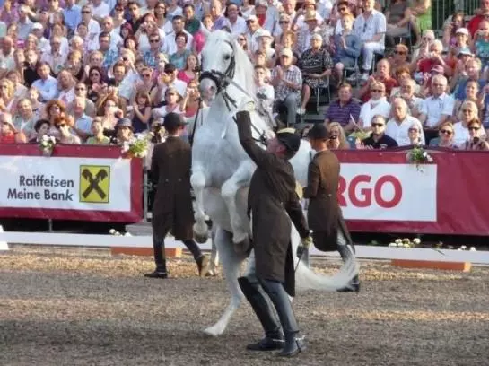 Bauernhof Mostheuriger