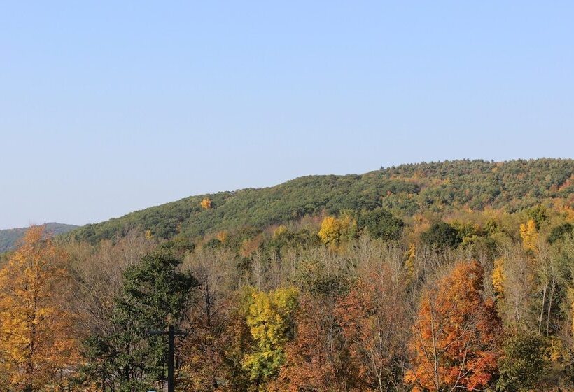 ホテル Berkshire Travel Lodge