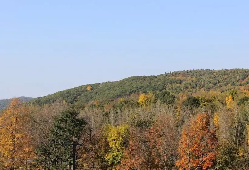 Otel Berkshire Travel Lodge