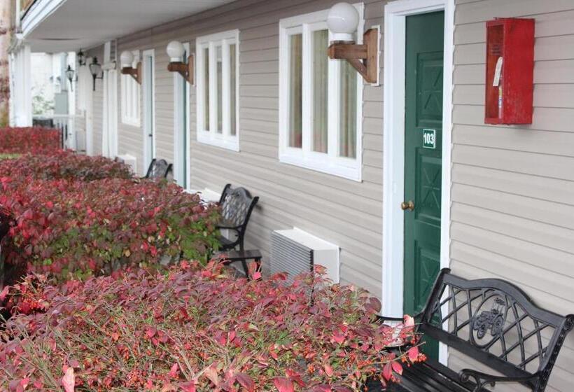 ホテル Berkshire Travel Lodge