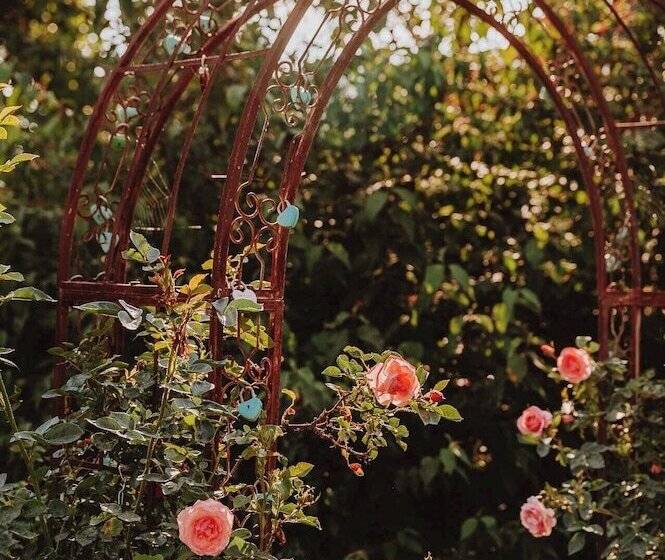 فندق Brücklwirt