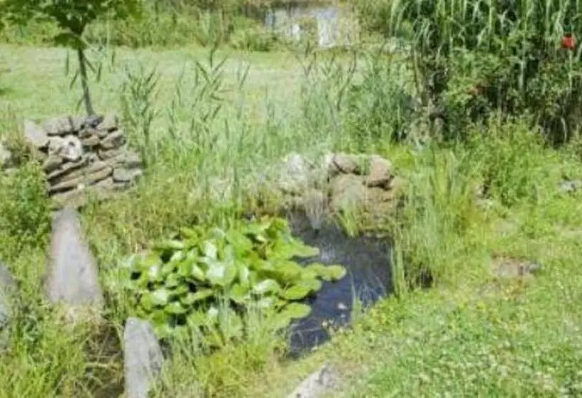 Отель Haus Hohenstein