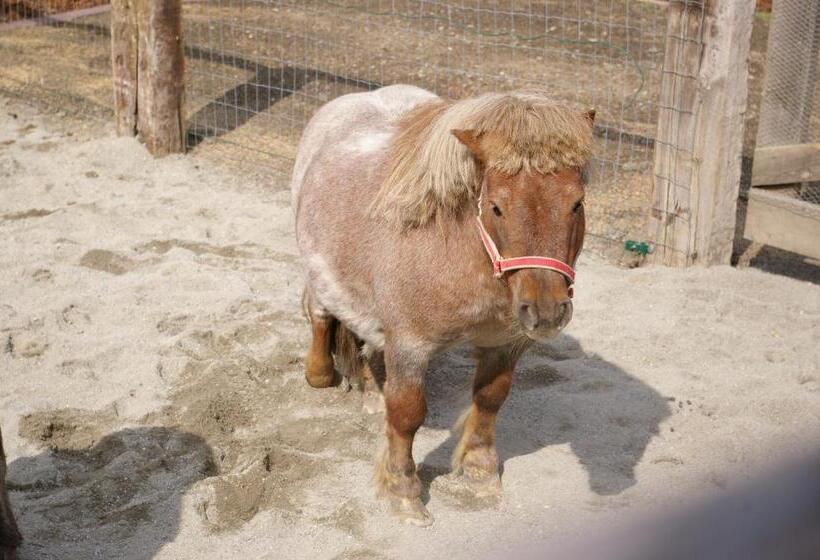 Отель Thalerhof