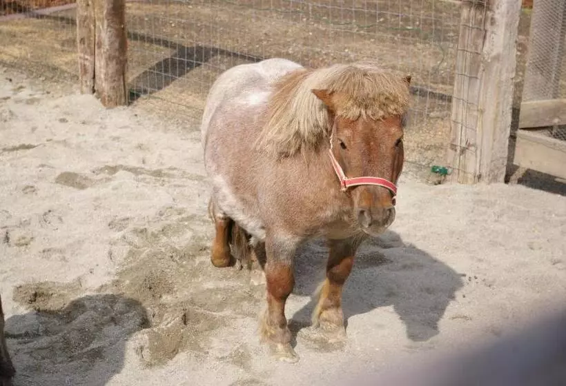 Отель Thalerhof