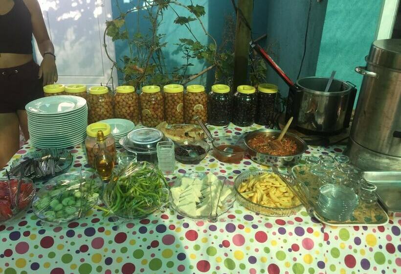 تختخواب و صبحانه Zeytin Cicegi Pansiyon