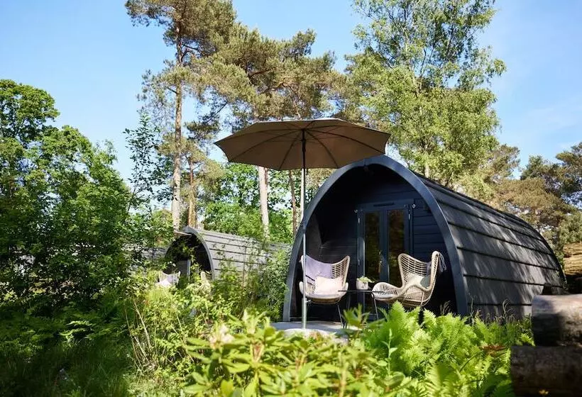 Lomakeskus Kampina Staete