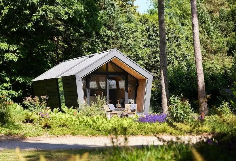 Lomakeskus Kampina Staete