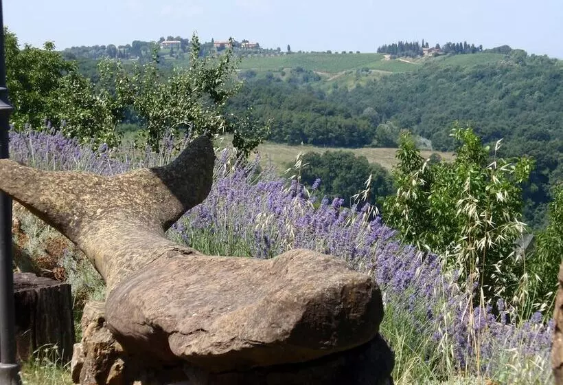 Room In B&b   A Little Place In Tuscany Where To Relax