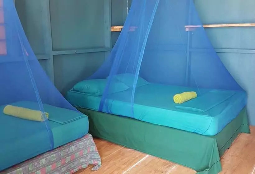 Aamiaismajoitus (B&B) Sunrise Paradise Carlito´s Place