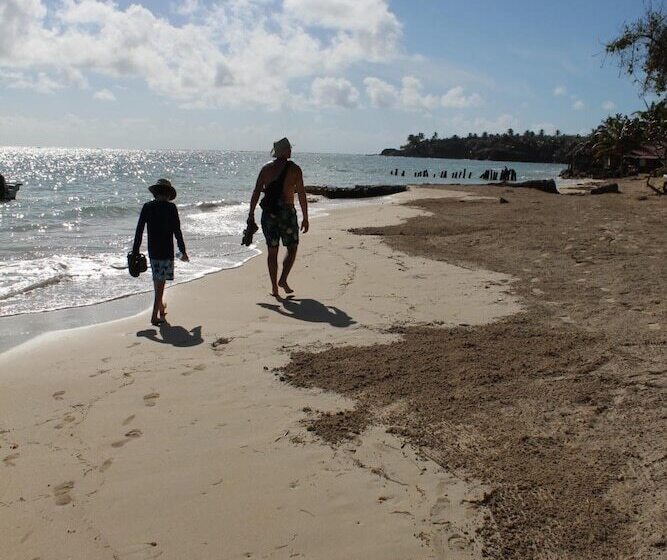 مبيت وإفطار Sunrise Paradise Carlito´s Place