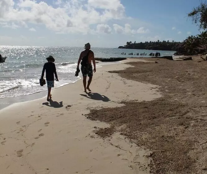 Aamiaismajoitus (B&B) Sunrise Paradise Carlito´s Place