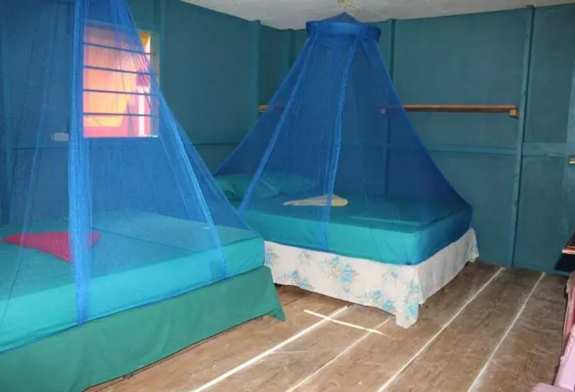 Aamiaismajoitus (B&B) Sunrise Paradise Carlito´s Place