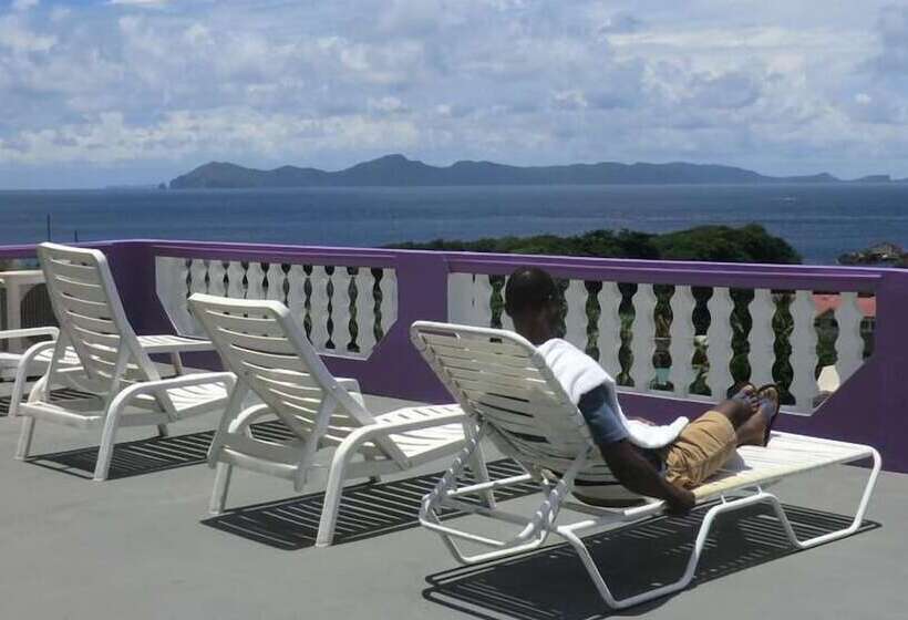 בית מלון כפרי Bay Hill Apartments