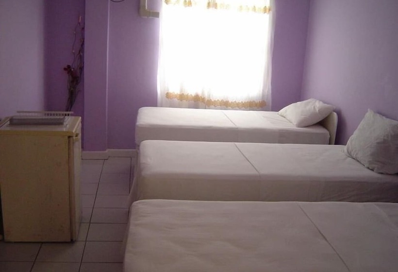 בית מלון כפרי Bay Hill Apartments