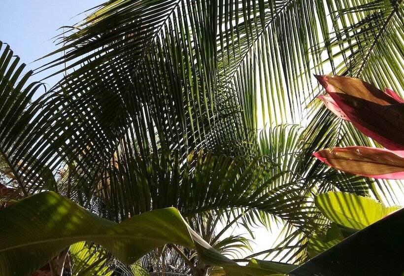 בית מלון כפרי Casa Pina