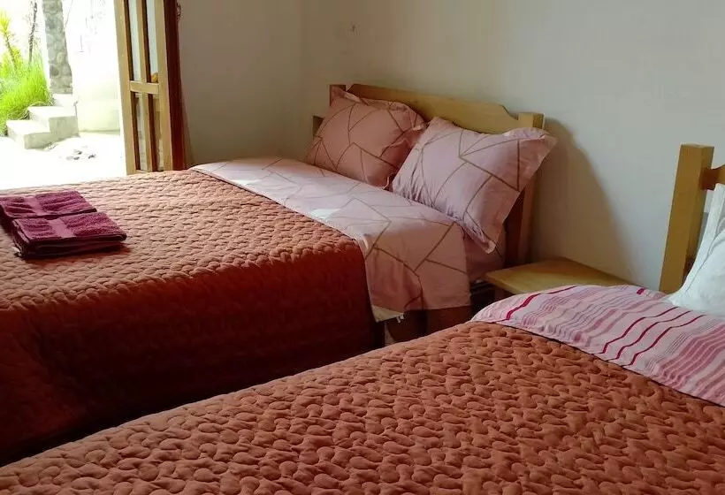 هتل Shumak Alpamayo Hostal Huaraz