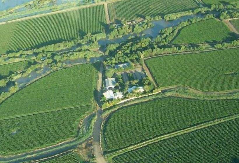 ペンション African Vineyard Guest House