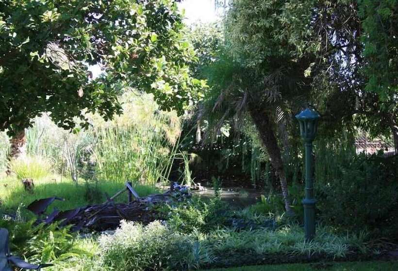 ペンション African Vineyard Guest House