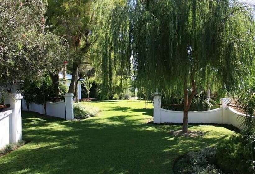 ペンション African Vineyard Guest House