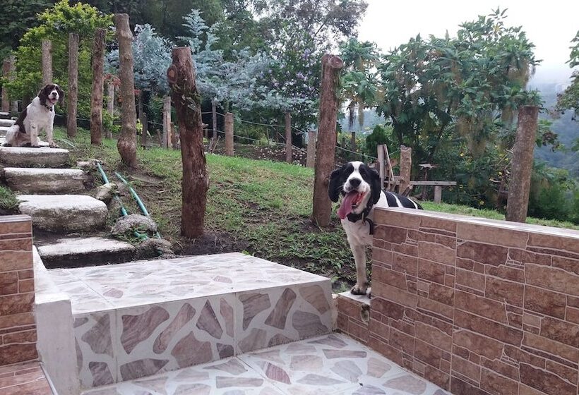 بنسيون Tranquility, Fresh Air, Birds Eye View, Green Areas, Panoramic View