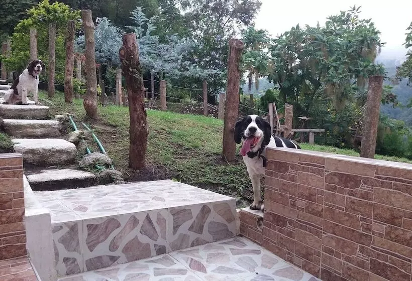 Majatalo Tranquility, Fresh Air, Birds Eye View, Green Areas, Panoramic View