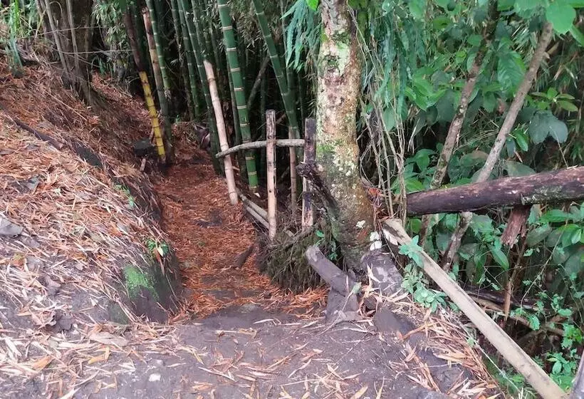 Majatalo Tranquility, Fresh Air, Birds Eye View, Green Areas, Panoramic View