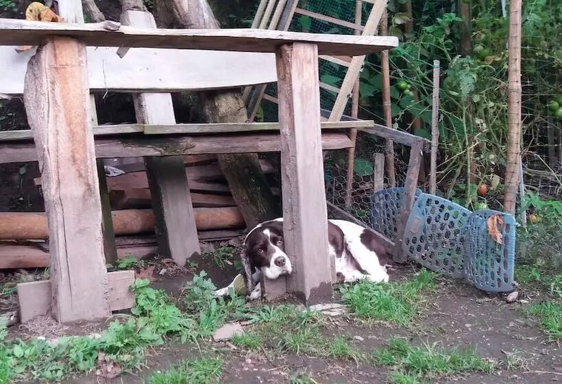 Majatalo Tranquility, Fresh Air, Birds Eye View, Green Areas, Panoramic View