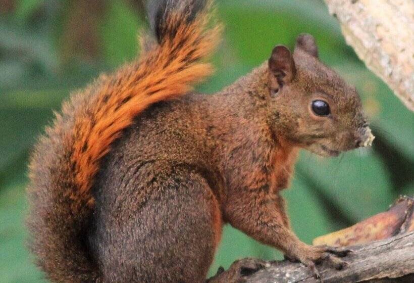 بنسيون Tranquility, Fresh Air, Birds Eye View, Green Areas, Panoramic View