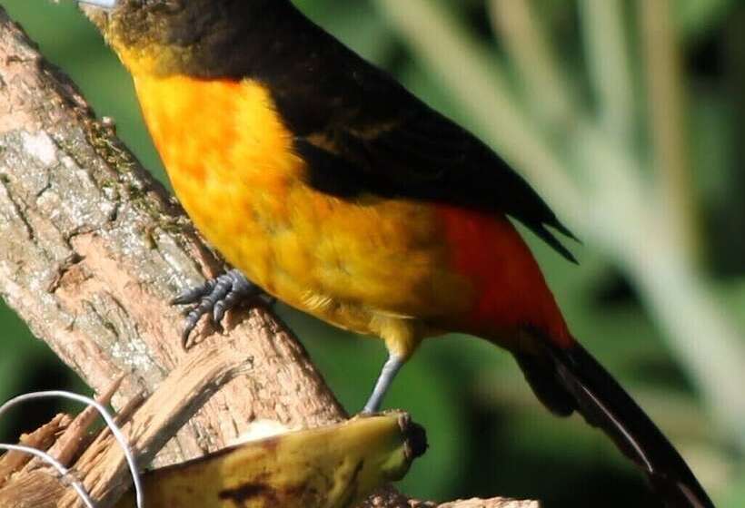 بنسيون Tranquility, Fresh Air, Birds Eye View, Green Areas, Panoramic View