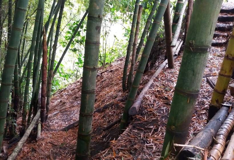 بنسيون Tranquility, Fresh Air, Birds Eye View, Green Areas, Panoramic View