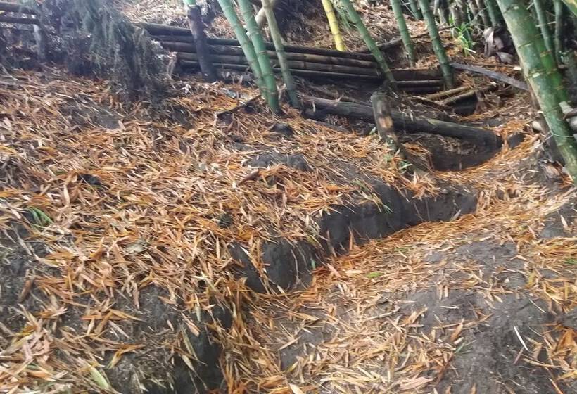 بنسيون Tranquility, Fresh Air, Birds Eye View, Green Areas, Panoramic View