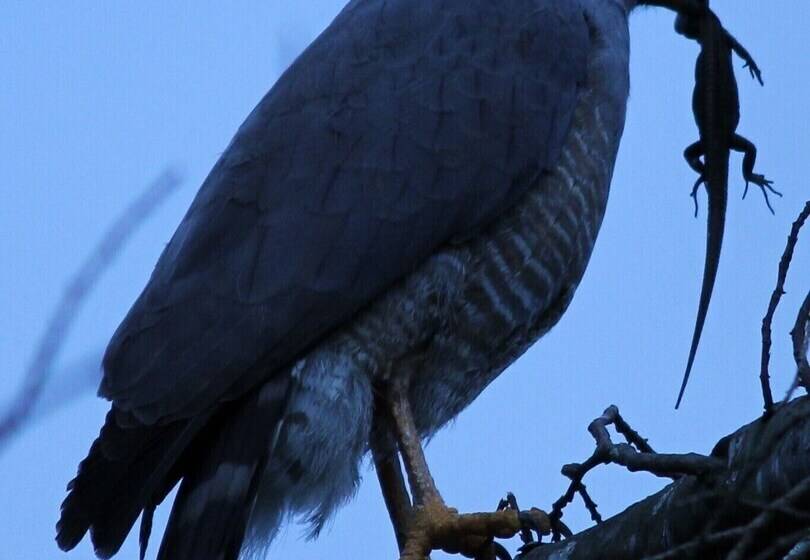 بنسيون Tranquility, Fresh Air, Birds Eye View, Green Areas, Panoramic View