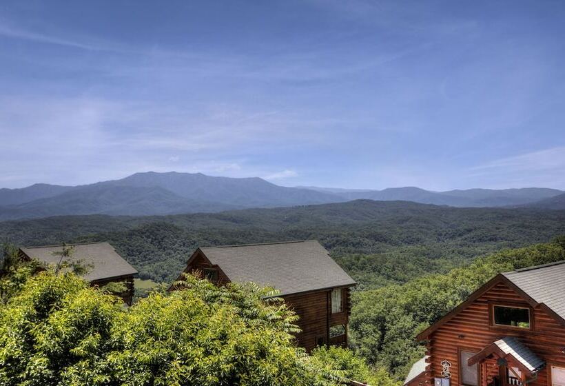 Tennessee Treasure #232