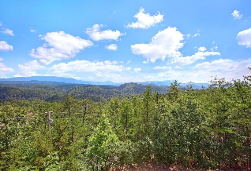 Tennessee Treasure #232