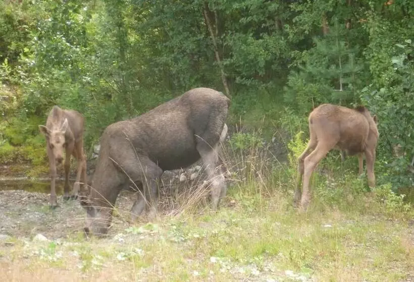 Retkeilymaja Gjesteheim Havdal