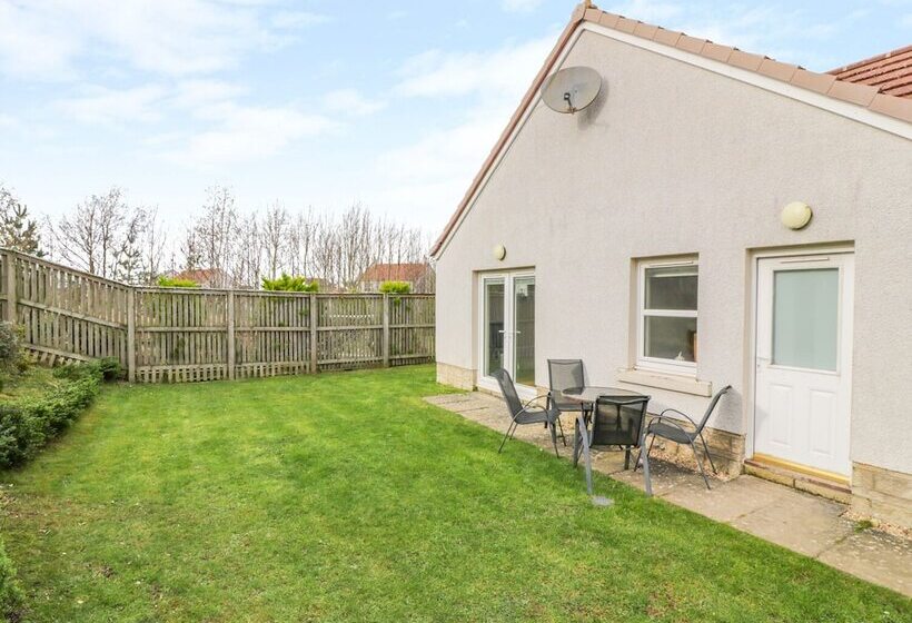 Bright And Beautiful